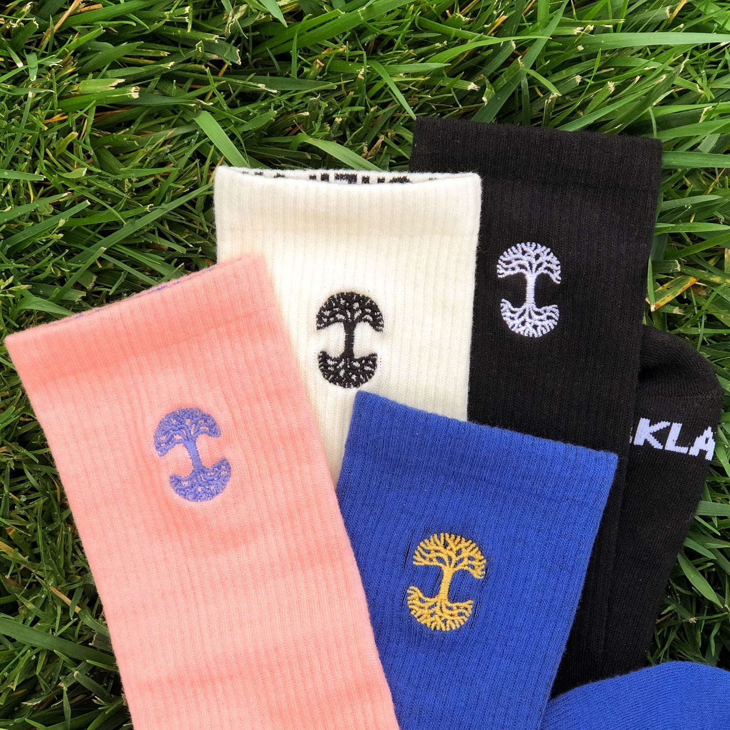 A collection of Oaklandish Embroidered Logo Socks is spread out on green grass. The socks, available in light pink, white, blue, and black, each feature an embroidered circular tree-like symbol in contrasting colors. The black sock on the right side also shows part of the white lettering "KLAVI" near its edge.