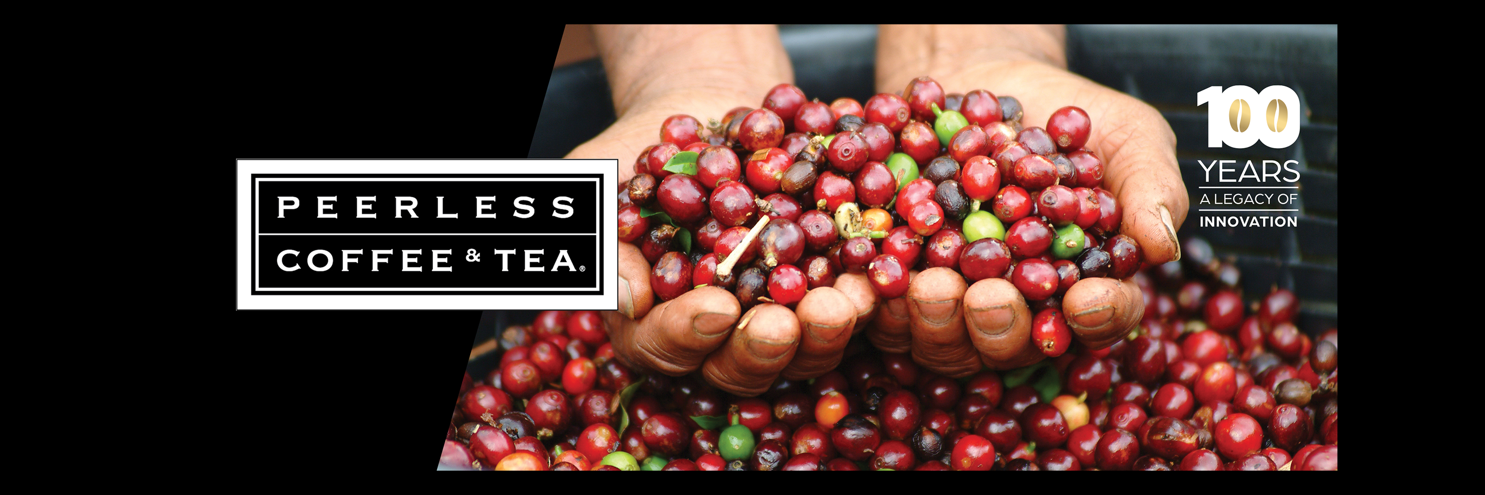 Hands holding ripe coffee cherries with "Peerless Coffee & Tea" logo on the left and "100 Years A Legacy of Innovation" text on the right against a black background.