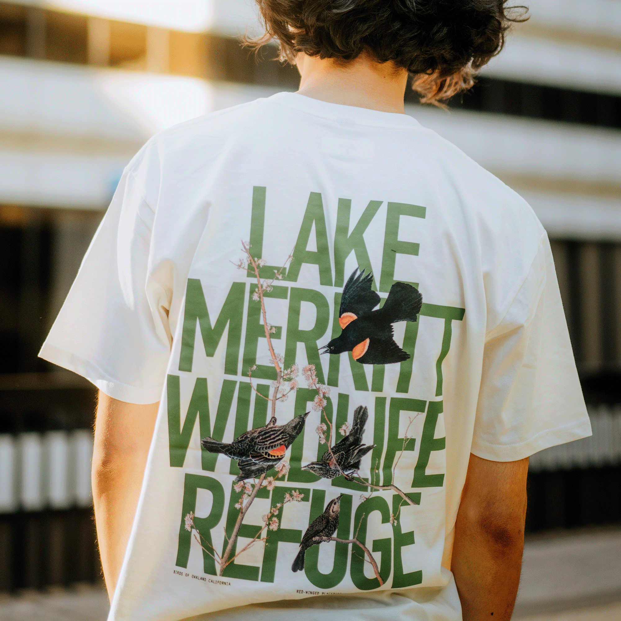 A person with curly hair stands outdoors wearing a classic fit Black Bird Tee by Oaklandish. The back of the 100% cotton T-shirt displays the text "Lake Merritt Wildlife Refuge" in bold green letters, alongside illustrations of red-winged blackbirds perched on branches, set against a softly blurred background.