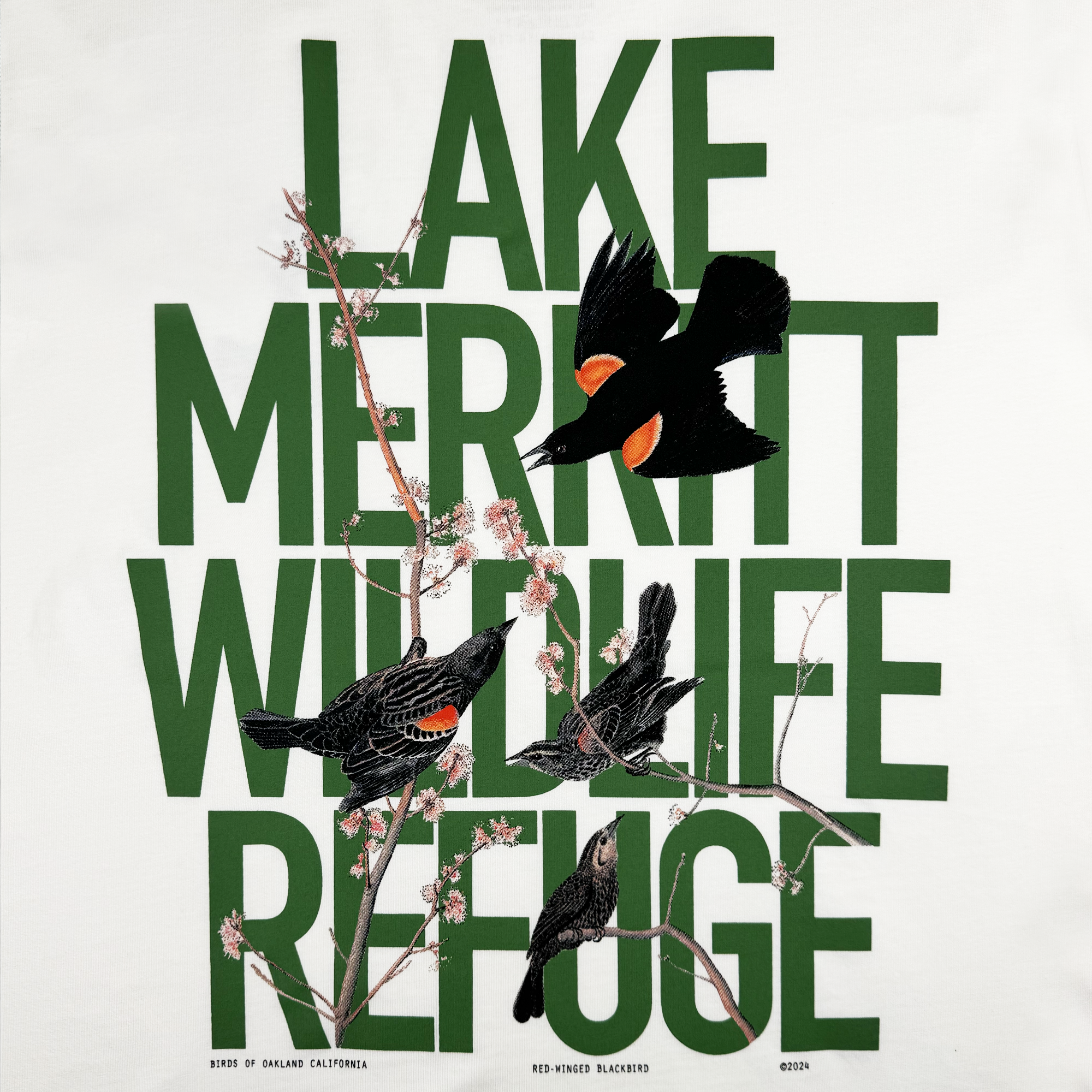 This Black Bird Tee by Oaklandish features a serene illustration of three black birds with striking red shoulder patches on branches, complemented by large green text reading "Lake Merritt Wildlife Refuge." The scene is beautifully accented with pink blossoms, making it the perfect design for a classic-fit t-shirt crafted from 100% cotton.