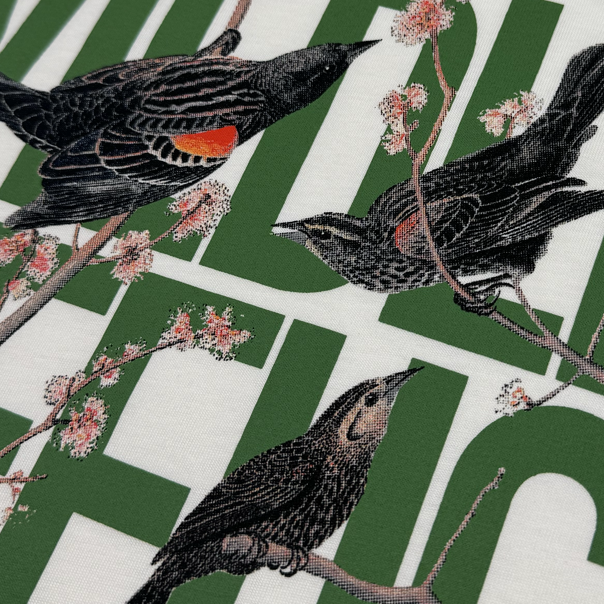 The Black Bird Tee by Oaklandish showcases a striking design of three blackbirds with red and orange wing patches, perched among cherry blossom branches. Large, overlapping green letters provide a unique background. Printed on a classic fit t-shirt, this piece expertly blends natural and graphic elements for a bold visual contrast.