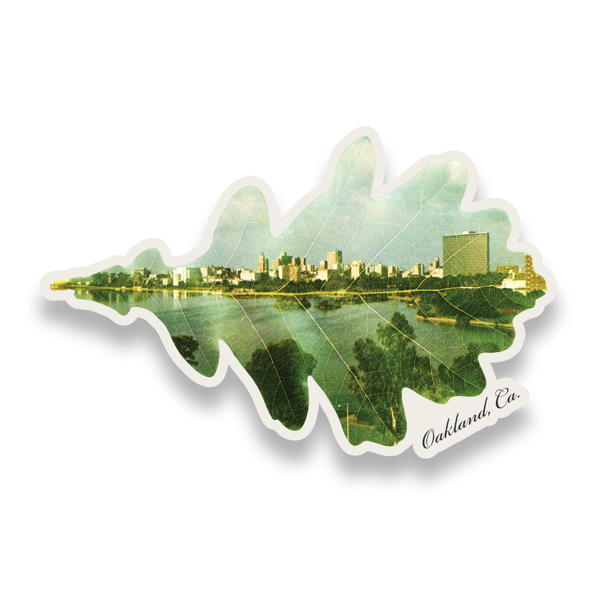 The Oaklandish Double Exposure Sticker features a leaf-shaped image of Oakland, CA. The cityscape and skyline reflect in a picturesque lake, with "Oakland, Ca." elegantly scripted at the bottom right. The vibrant design contrasts sharply against the black background.