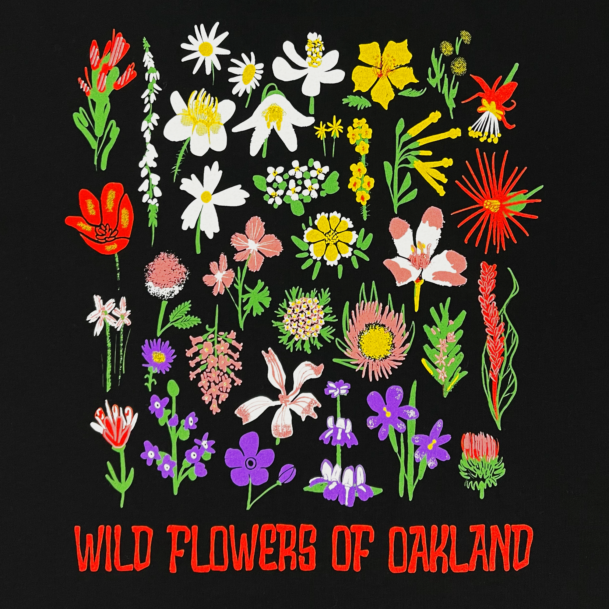 A vibrant illustration of various wildflowers against a black background adorns the Oakland Wildflowers classic fit t-shirt by Oaklandish. "WILD FLOWERS OF OAKLAND" is boldly written in red at the bottom, complementing the white, yellow, orange, pink, red, and purple blooms. Part of the men's collection and made from 100% cotton.