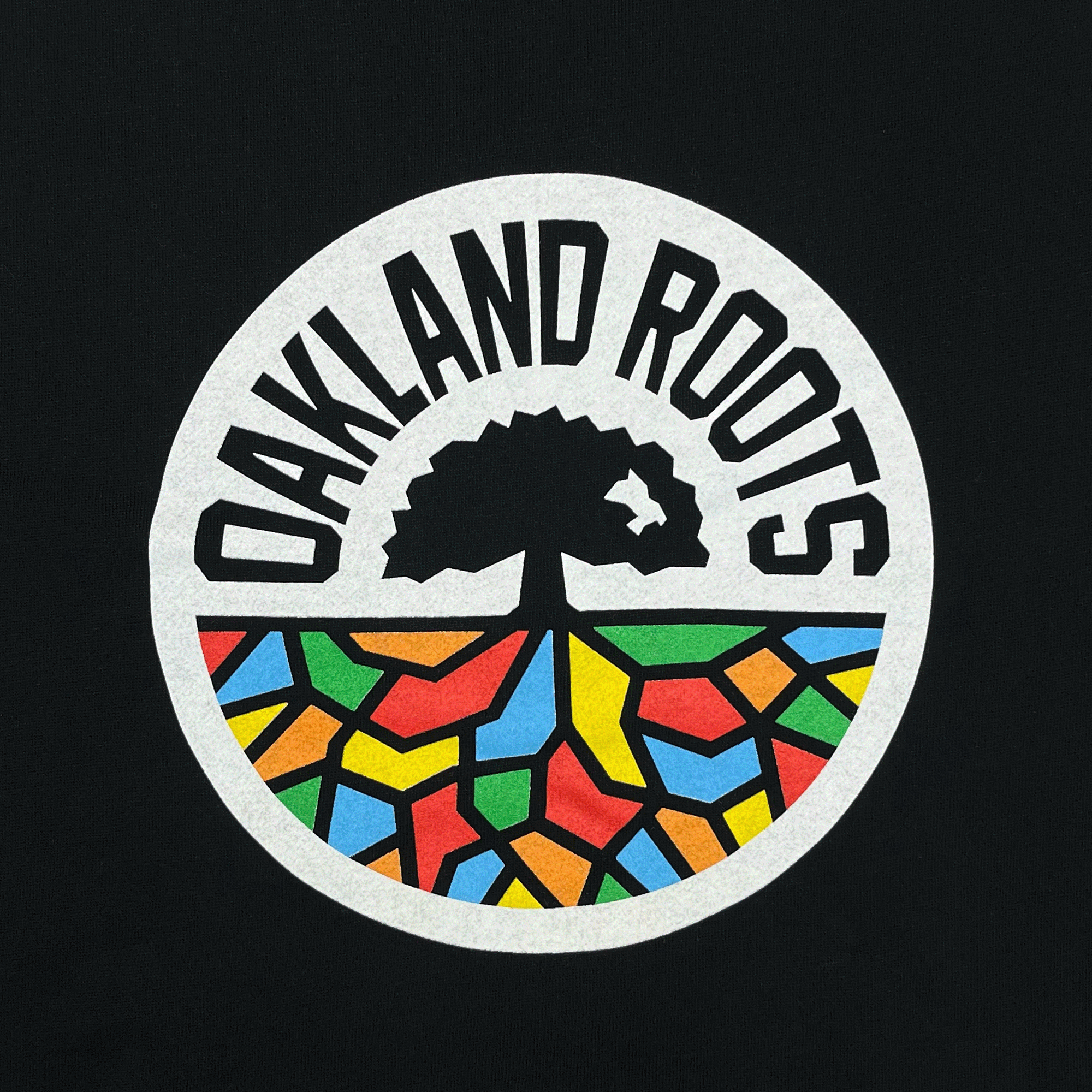 The image showcases the Oakland Roots SC Logo 2.0 Hoodie by Other, featuring a circular "OAKLAND ROOTS" logo atop an inspiring sports club emblem. Inside, a tree with vibrant stained-glass-like roots appears against a black background, symbolizing social good through colorful geometry.