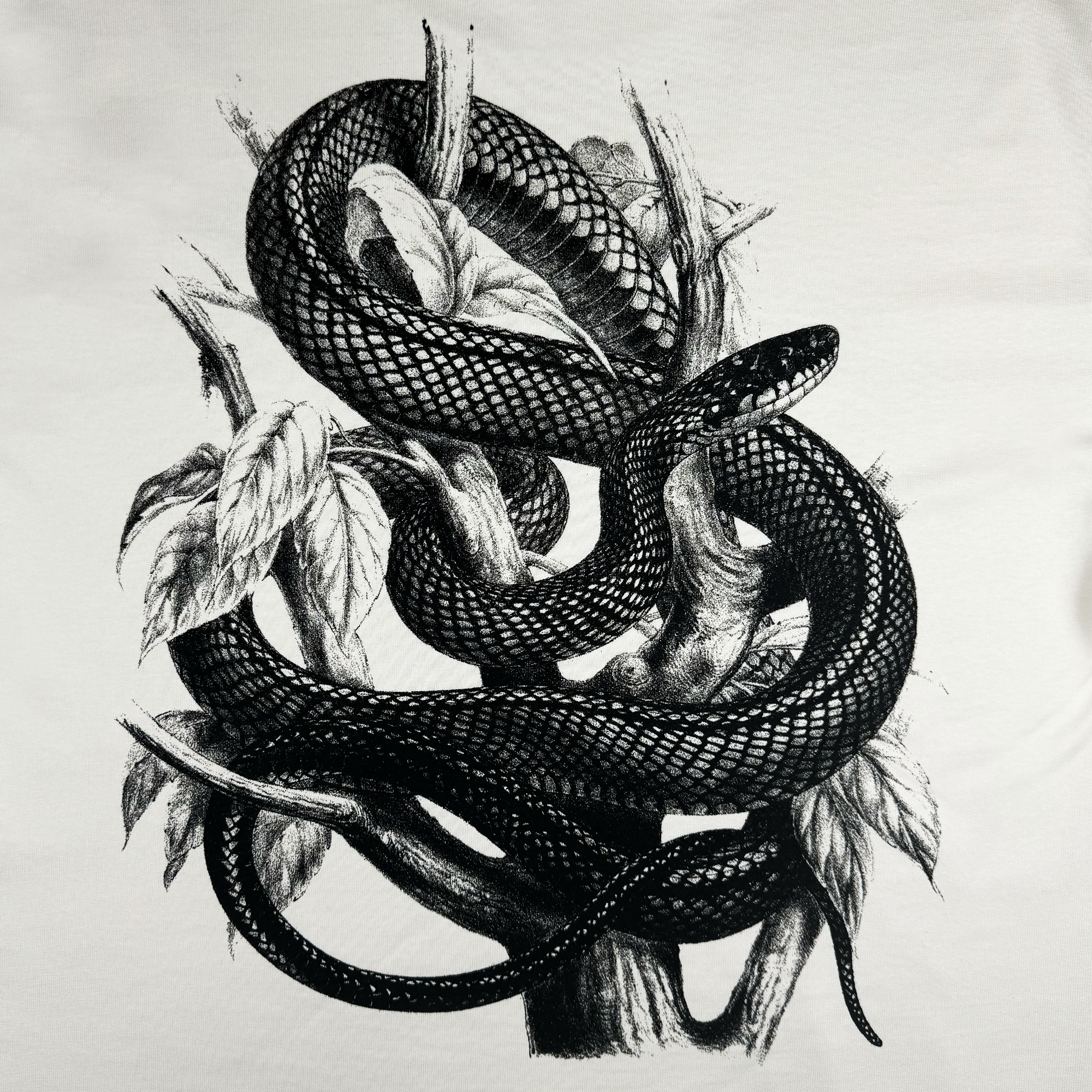 The Tree Snake Heavy Tee by Oaklandish features a detailed black and white illustration of a snake coiled around a tree branch. The intricate scale pattern of the snake, entwined with leaves and twigs, offers a realistic depiction that art enthusiasts will appreciate on heavyweight combed cotton. Available in men's sizing, this tee showcases a boxy fit.