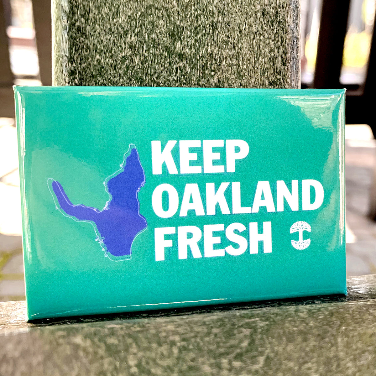 The Keep Oakland Fresh Magnet from Oaklandish is a rectangular teal accessory that features the bold phrase "KEEP OAKLAND FRESH" in white letters. On the left side, you'll find a purple silhouette of Oakland, while an Oakland Roots SC logo is displayed on the right. This magnet proudly clings to your metallic surfaces, making it a perfect addition to your accessories collection.